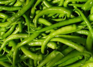 Zam şampiyonu sivri biber oldu