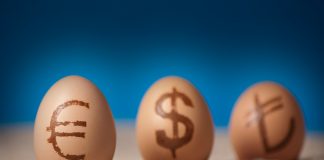 ‘Euro/dolar “1”e yönelebilir’ 14.12.2016